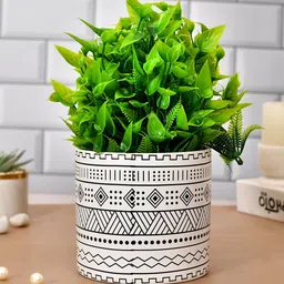 TAYHAA Black Printed Ceramic Planter-image-49