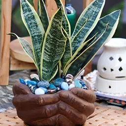 LASAKI Brown Textured Ceramic Planter With Tray-14