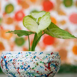 LASAKI White & Blue Textured Ceramic Planter-11