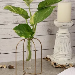 The Decor Mart Morocco Testube Planter-image-20