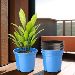 Kuber Industries 6-Pcs Black & Blue Round Planters-42