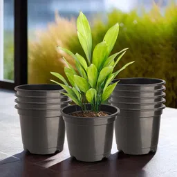 Kuber Industries Black Set Of 10 Plastic Planters-1