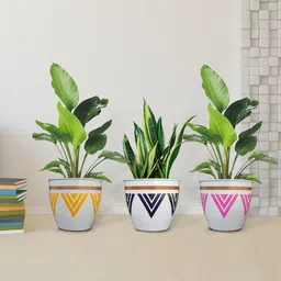 TRUSTBASKET Armour Set Of 3 White & Yellow Printed Planters-54