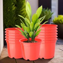 Kuber Industries 12 Pcs Red Lightweight Planters-21