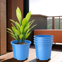 Kuber Industries 5 Pcs Blue Lightweight Planters-12