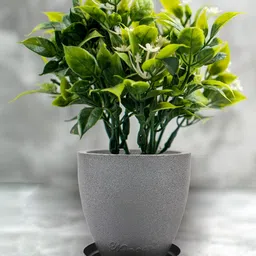 Nest&Vine Grey Rust-proof & Lightweight Recyclable Planter with Tray image 3