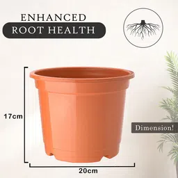 Kuber Industries Pack Of 6 Red & Orange Planters image 5