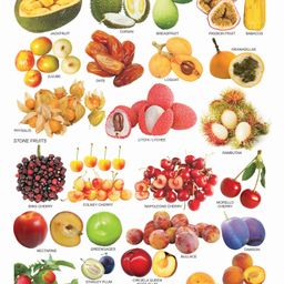 Dreamland Fruit Chart - 6 Educational Wall Chart For Kids - Both Side Hard Laminated (Size 48 x 73 cm)-image-84