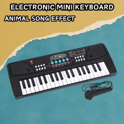 (Piano Keyboard) Toy with 37 Key, Recording and Mic, Adapter for DC Power H364 (Piano Keyboard) Toy with 37 Key, Recording and Mic, Adapter for DC Power H364 Analog Portable Keyboard-11