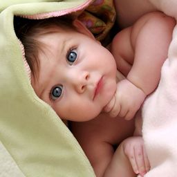 Wallpics Nude & Green Baby Printed Water Proof  Wall Sticker-image-77