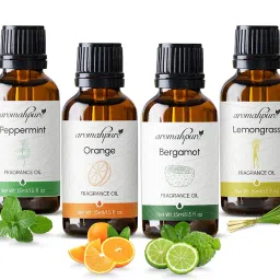 Fragrance Oil - Refreshing Series | Aroma Oil Home Fragrance Aroma Oil-20