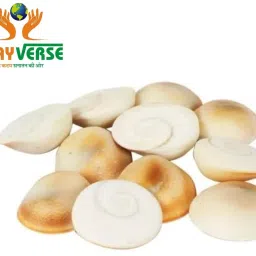 Gomati Chakra Original/Gomti Chakra Stone/Gomathi Chakkaram for Lakshmi Regular Round Rock Stone-image-24