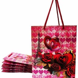 Printed Party Bag-image-31