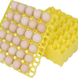 Egg holder Egg Holder-image-31