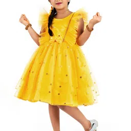STANWELLS KIDS Gilrs Floral Embroidered Round Neck Fit & Flare Dress-12