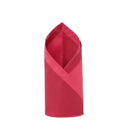 Louis Philippe Men Colourblocked Pocket Squares-picture-18