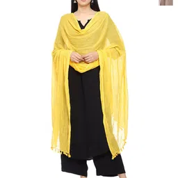Tulip Eden Pack Of 2 Floral Printed Dupatta-image-52