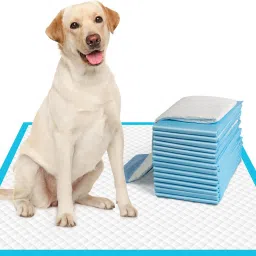 Puppy Training Pee and Potty Pads,Quick Drying Surface(60x90cm,40pcs) Pee Pads Dog, Cat Pet Mat-image-48