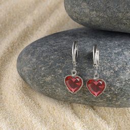 AMI Silver Plated Cubic Zirconia Hoop Earrings-image-25