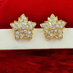 Anujeet Fashion Hub Contemporary Studs Earrings-21