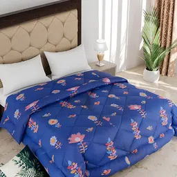 Comfowell Blue & Pink Cotton Heavy Winter 233 GSM Single Bed Quilt-image-65