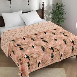 EverHOME Daisy Meadows Peach & Black Floral Cotton AC Room 120 GSM Double Bed Dohar-image-72