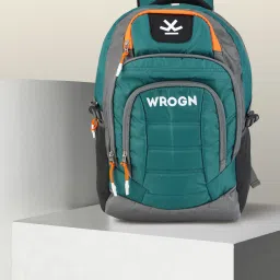 Large 35 L Laptop Backpack Spacy Freeride Unisex Bag with rain cover Office/School/College/BusinessC-35L-79