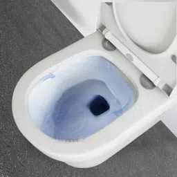 lurexa Wsc 9901 Premium Quality White commode with Black Finishing Line With Seat Cover and Round Flush Button Western Commode image 3