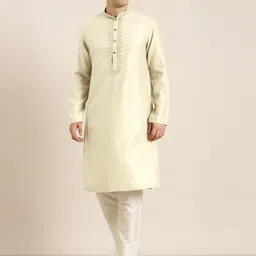 TheEthnic.Co Mandarin Collar Long Sleeves Thread Work Straight Kurta-image-69