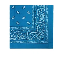Aadikart Unisex Blue Paisley Printed Cotton Bandanas-image-12