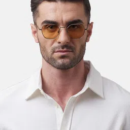 Shisen Fox Unisex Browline Sunglass-23