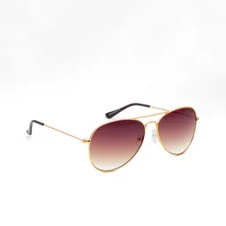 IRUS by IDEE Men Aviator Sunglasses with UV Protected Lens-IRS1358C16SG-Gold-Toned-55