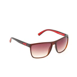 IRUS by IDEE Men Square Sunglasses with UV Protected Lens-IRS1325C2SG-Brown-11