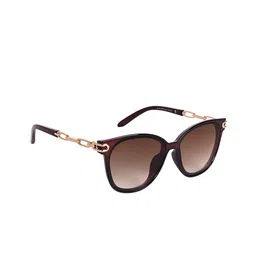 AISLIN Women Butterfly Sunglasses with UV Protected Lens ES_13307-84-AS-15067-BRW-BRGL-BT-25
