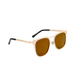 Ted Smith Unisex Brown Lens & Gold-Toned Wayfarer Sunglasses with Polarised Lens-42
