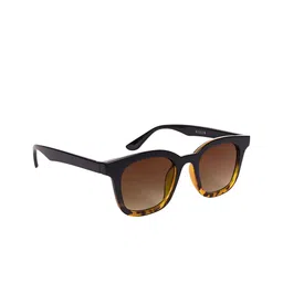 AISLIN Unisex Wayfarer Sunglasses with UV Protected Lens ES_13259-87-AS-2101-BRW-BKoBR-WF-23