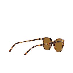 Ray-Ban Unisex Round Sunglasses with Polarised and UV Protected Lens image 3