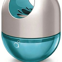 Fresh Lush Car Freshener Diffuser-25