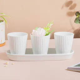 Nestasia 3 Pieces White Ribbed Textured Ceramic Planter With Tray-19