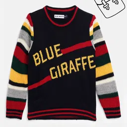 Blue Giraffe Boys Multicoloured Typography Colourblocked Pullover-image-3