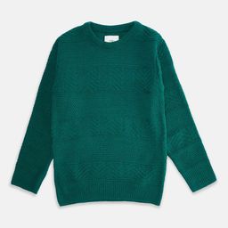 Pantaloons Junior Boys Teal Pullover-image-66