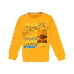 Status Quo Boys Typography Printed Cotton Sweatshirt-picture-32