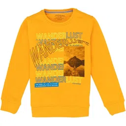 Status Quo Boys Printed Round Neck Pure Cotton Sweatshirt-picture-55
