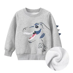StyleCast Boys Grey Graphic Printed Sweatshirt-picture-18