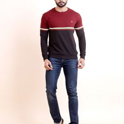 berry blues Colourblocked Round Neck Long Sleeves Pullover Cotton Sweatshirt-image-90