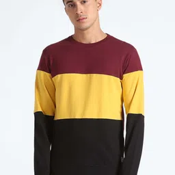 Flying Machine Colourblocked Pure Cotton Pullover-image-64