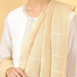 Soch Beige & Silver-Toned Striped Linen Dupatta-20