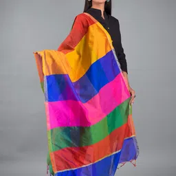 Apratim Multicoloured Striped Dupatta-23
