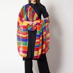 WEAVERS VILLA Striped Printed Dupatta-picture-51