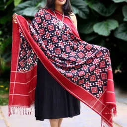 Peepul Tree Ethnic Motifs Printed Ikat Dupatta-13